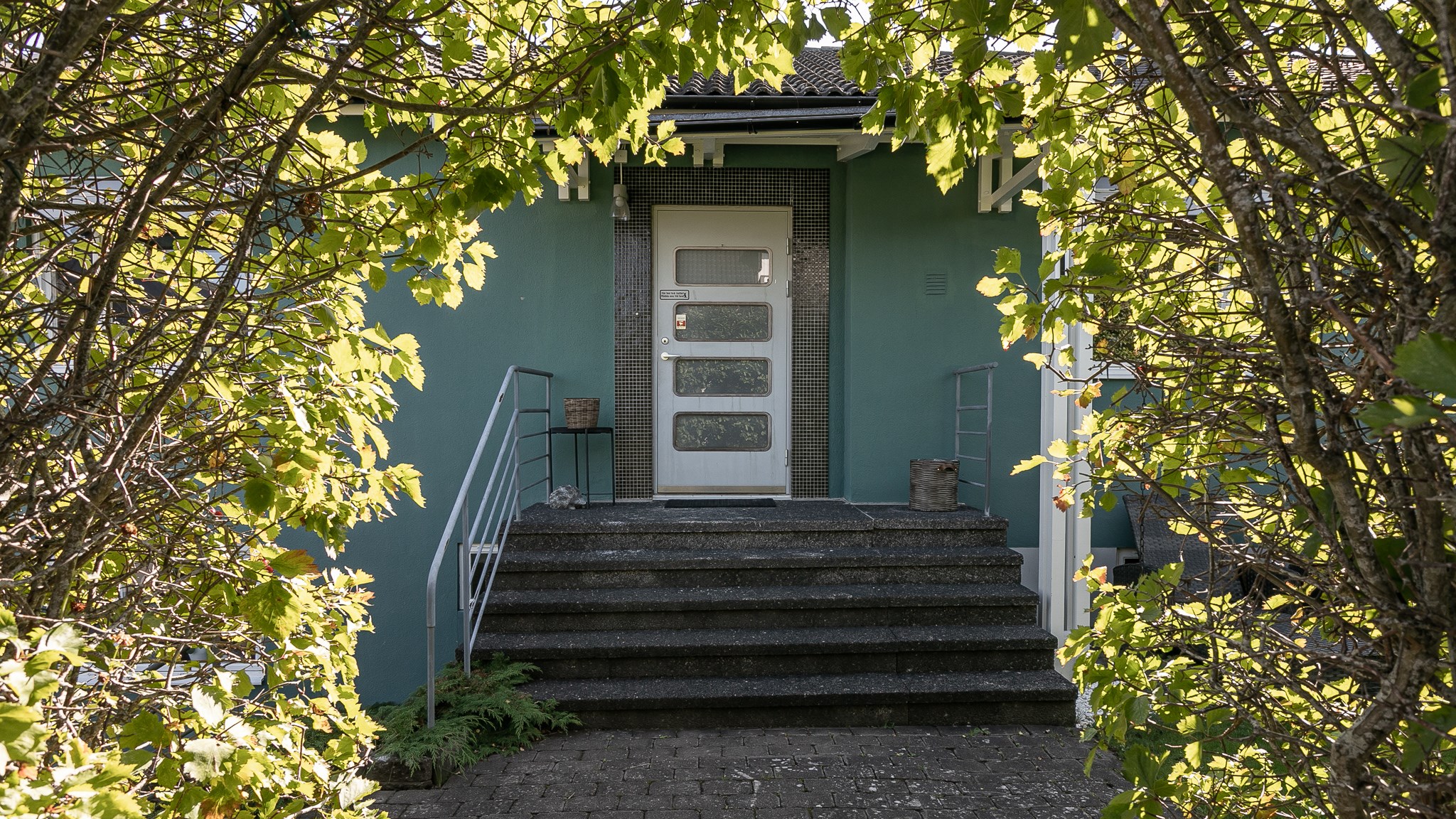 Trädgården