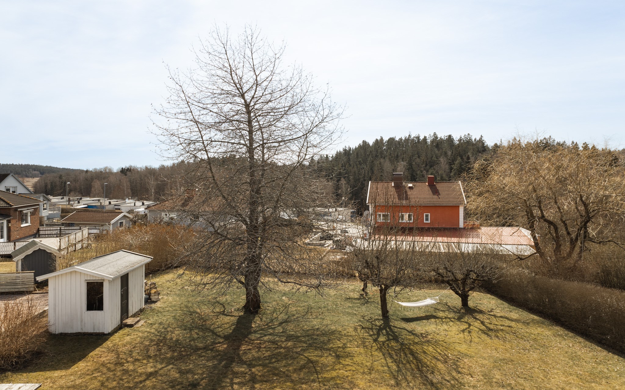 Trädgården