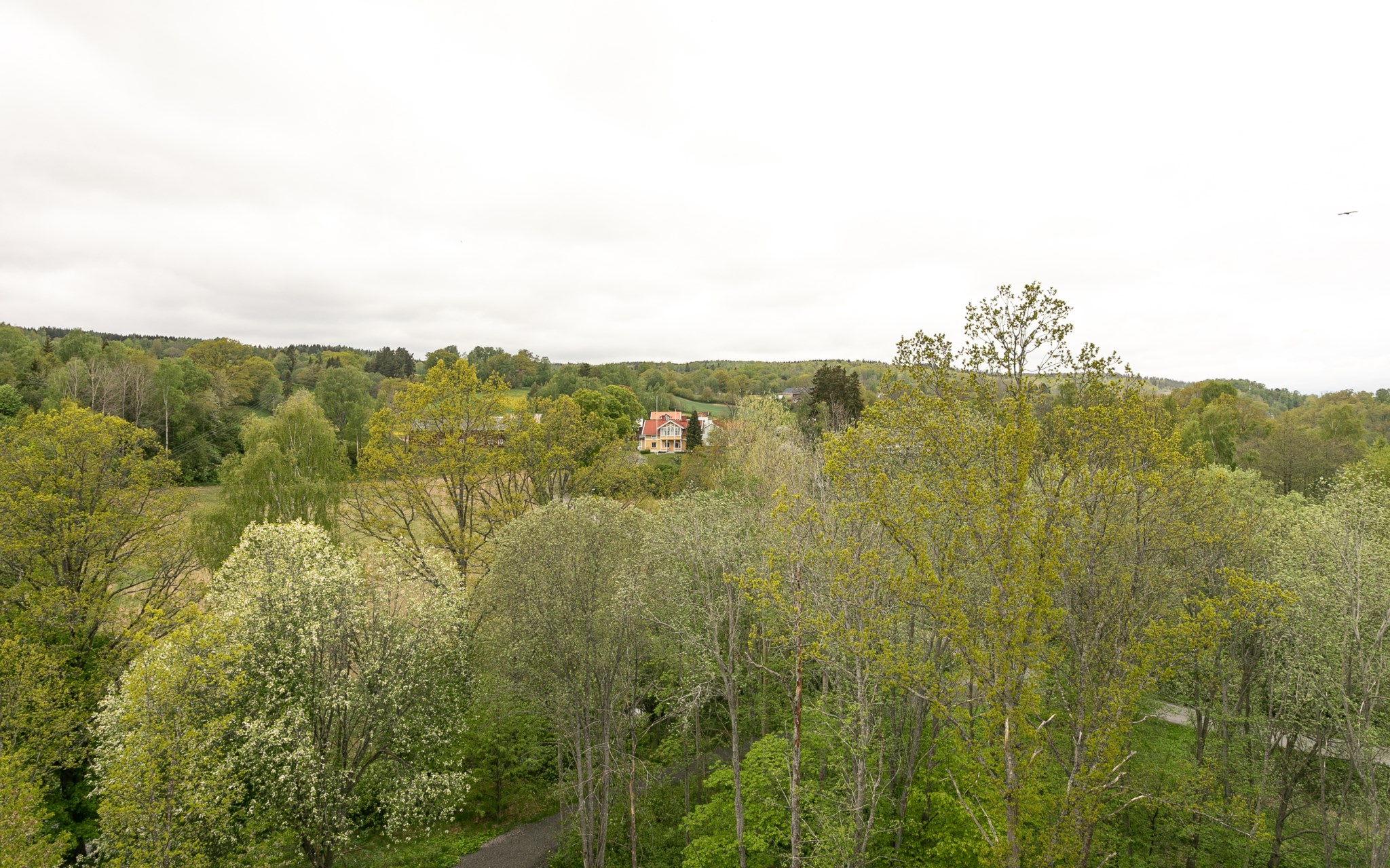 Omgivningarna